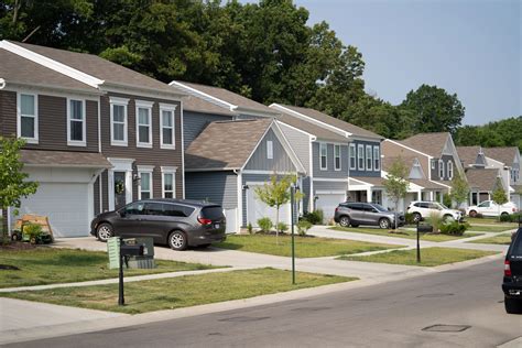 Pest Control In Cincinnati