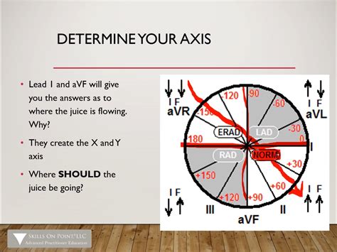 4 new Courses on the Complete Anatomy platform | Complete Anatomy