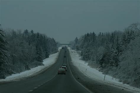 Brewer Tourism (2024): All You Need to Know Before You Go