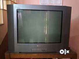 Sony Trinitron Tv in India, Free classifieds in India | OLX