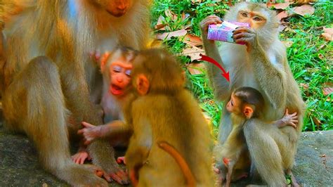 Image result for Watchmojo.com Babies