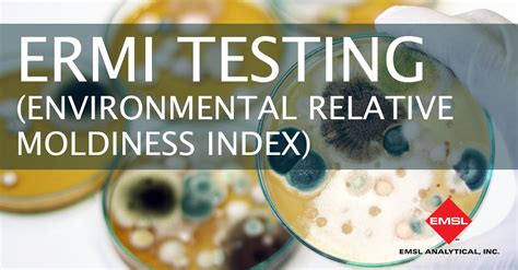 Image result for Ermi Testing vs Air Sampling Dust