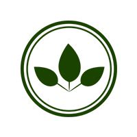 Biotique Natural Makeup Magicare All Day Foundation, Gyps...