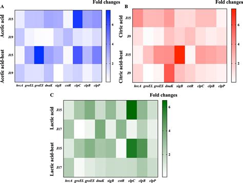 Pre-Exposure of Foodborne Staphylococcus aureus Isolates to Organic ...