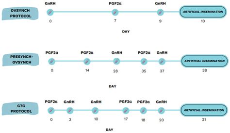 Evaluating the Impact of Clinical Mastitis on Ovarian Morphometry and ...
