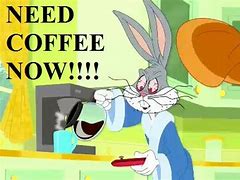 Image result for Bunny Drinking Coffee
