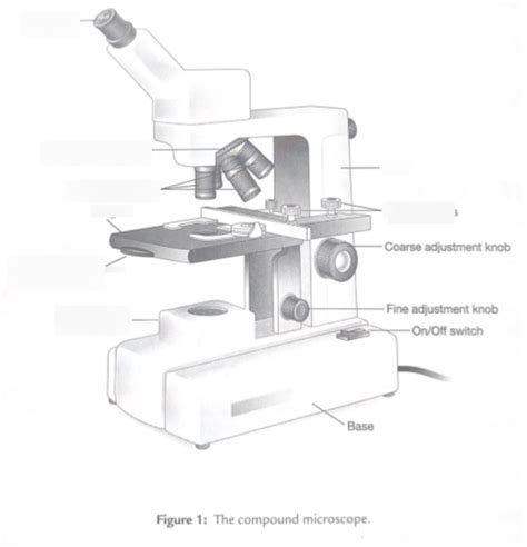 Image result for Compound Microscope Diagram Class 12