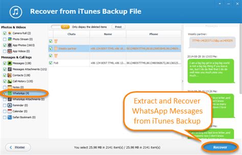 How to See My Deleted WhatsApp Messages on iPhone-Dr.Fone