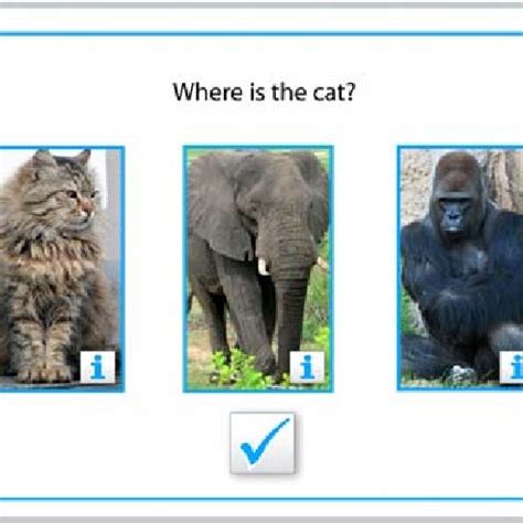 Image result for Activity Selection Example Data Structure