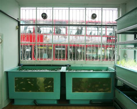 Farm Shop Program 的图像结果