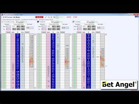 Bet Angel Tutorials 的图像结果