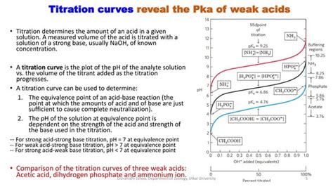 Image result for Buffer Problems Biochem