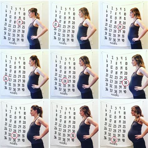 Baby Bump Tracker | Baby bump progression, Pregnancy countdown ...