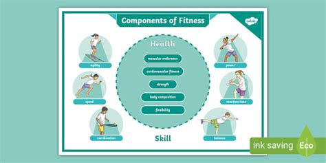 Components of Fitness Poster