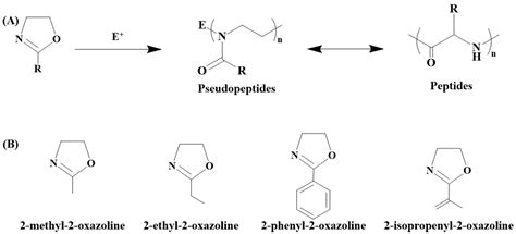 Poly(2-isopropenyl-2-oxazoline) as a Versatile Functional Polymer for ...