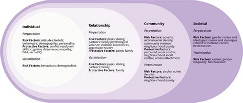 Frontiers | Exploring risk and protective factors for adolescent dating violence across the ...