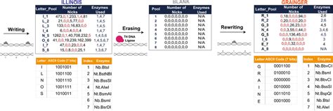 Image result for Metadata File DNA Sequencing