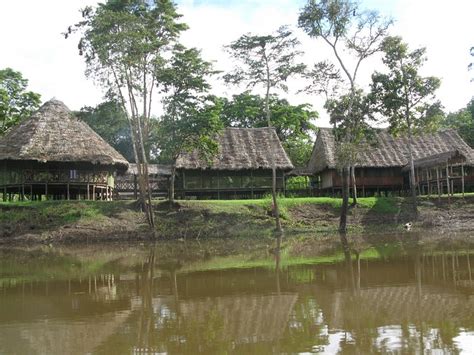 CHULLACHAQUI ECO LODGE (Tamshiyacu) - Lodge Reviews & Photos - Tripadvisor