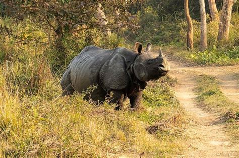 Northeast India Road Trip 2026 — 7, 10 & 14 Day Routes