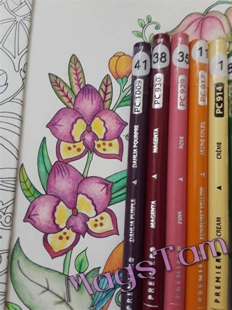 Image result for Adult Colored Pencils Tutorials