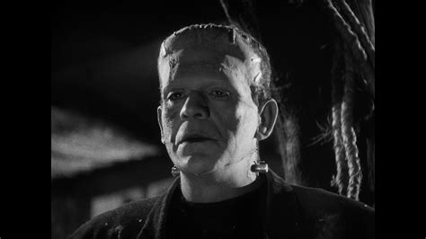 Image result for Frankenstein and Bride