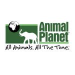 Placement by HIMCOM top Mass communication college in Delhi