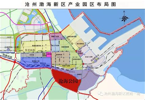 【重磅】沧州渤海新区沧海公园规划方案_发展区