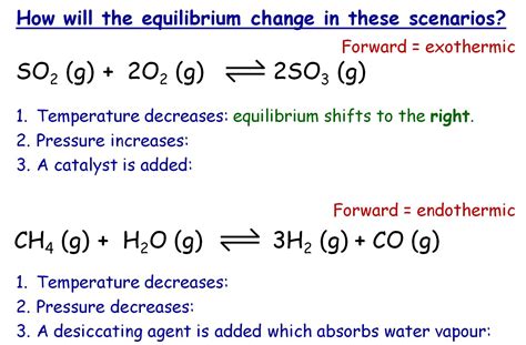 Dynamic Equilibrium 的图像结果