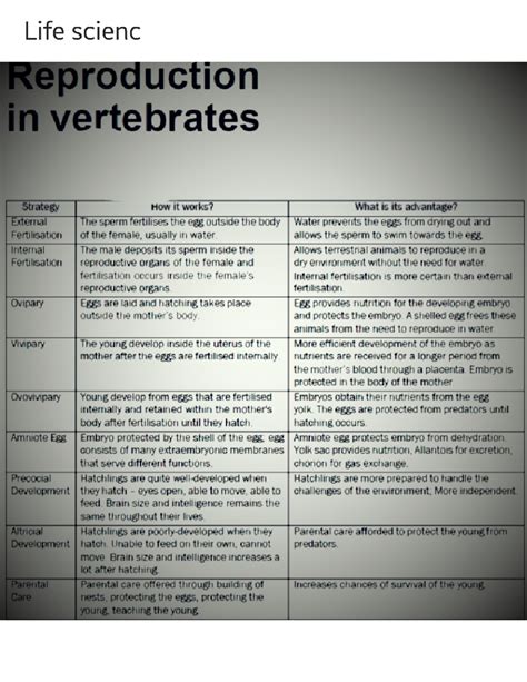 science grade 12 notebook learns guide m - Life scienc Reproduction in vertebrates Strategy How ...