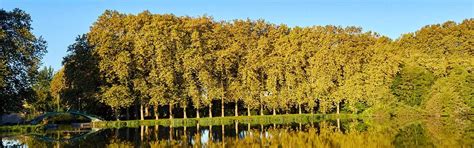 Hôtel restaurant Orléans | Campanile