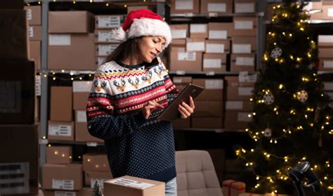 Prepare for Christmas Period Sales with Magnolia ERP Software - FI-ES ...