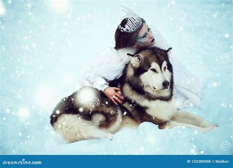 Snow-queen. Fairy Tale Girl with Huskies or Malamute Stock Photo ...