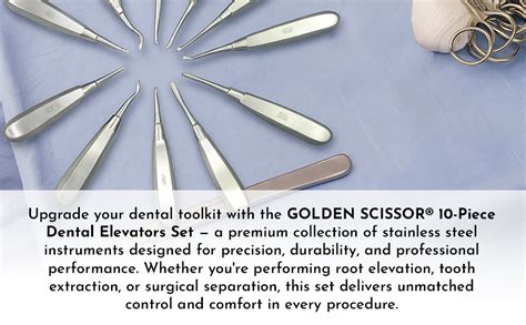 GOLDEN SCISSOR 10-Piece Dental Elevators Set – Stainless Steel Tooth ...