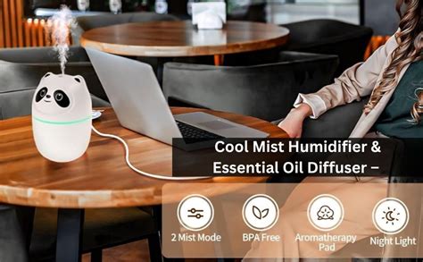 Cool Mist Humidifier & Essential Oil Diffuser – Ultrasonic Quiet Air ...