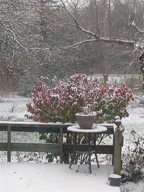 The Art of the Short-Form Story. Elements of writing short stories | by ...