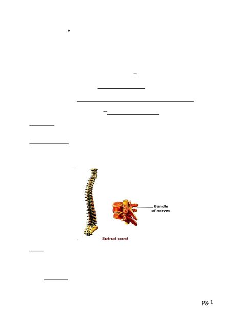 Image result for 5 Class Science Lesson 8