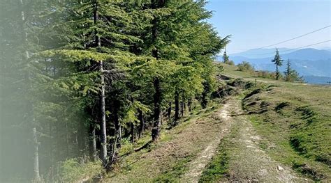 THE TIKKER (Fagu) - Specialty B&B Reviews & Photos - Tripadvisor