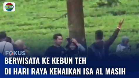 Kawasan Kebun Teh di Puncak Jadi Destinasi Wisata di Hari Libur ...