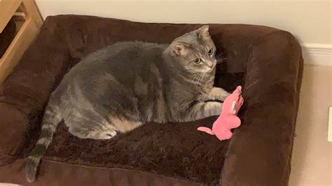 What they check in background verification? Did they also check ...