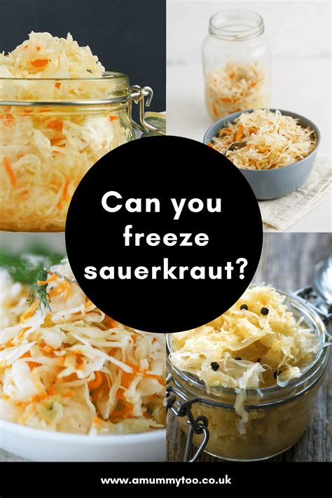 Can You Freeze Sauerkraut?