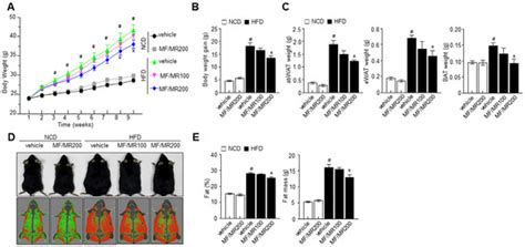 Combined Treatment of Mori folium and Mori Cortex Radicis Ameliorate ...
