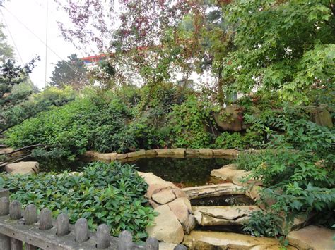 ZooLex Image - Water feature in the visitor area