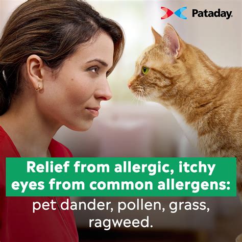 Pataday Once Daily Eye Allergy Itch Relief Eye India | Ubuy