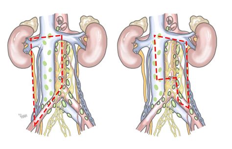 Universimed - Medizin im Fokus