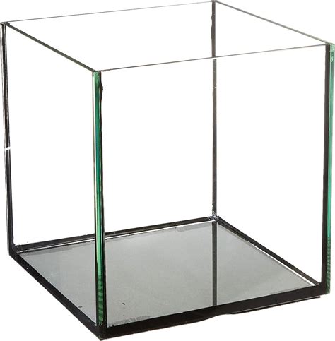Cube Tank - 8" X 8" – Splashy Fin Aquarium Bengaluru