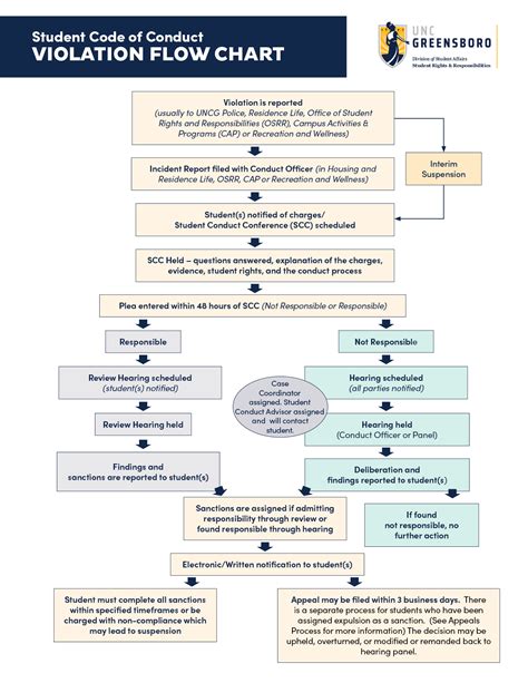 Image result for Chart Code JavaScript for Violation of Student