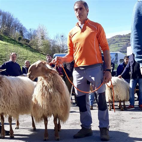 El mejor criador de oveja Carranzana vive en San Juan de Parres y se ...