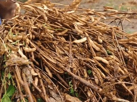Gujarat Unseasonal Rain Crop Damage Relief Package Update CM Meeting