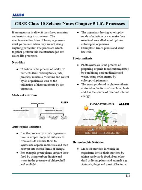 Image result for Chapter 5 Science Class 10 Notes
