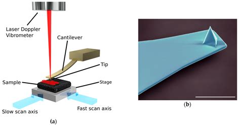High-Tech Microscope 的图像结果